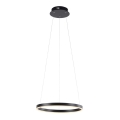 Leuchten Direkt 15393-13- Candelabro suspenso LED com regulação RITUS LED/20W/230V preto