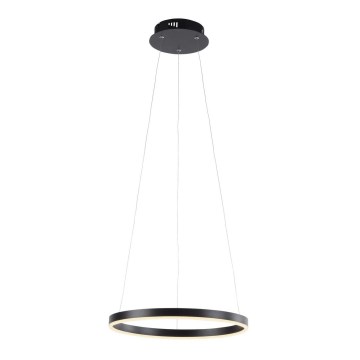 Leuchten Direkt 15393-13 - LED Lustre pendente dimerizável em cabo RITUS LED/23,5W/230V preto