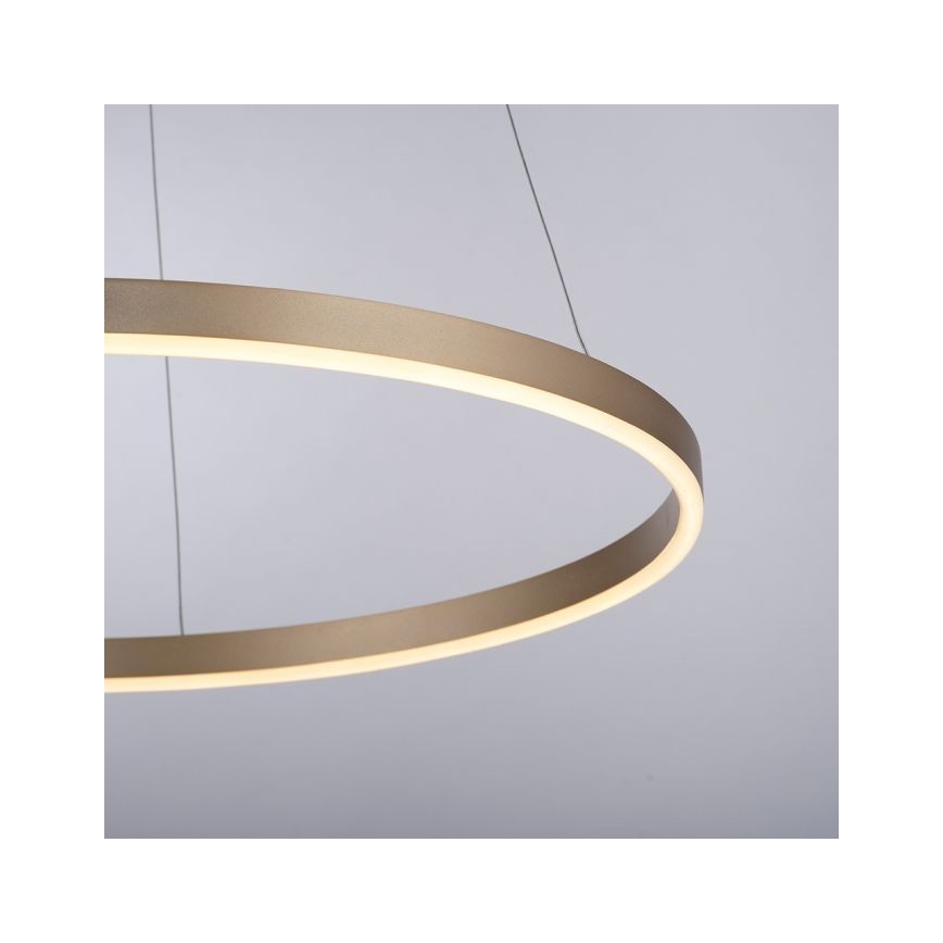 Leuchten Direkt 15394-60 - Candelabro suspenso LED com regulação RITUS LED/28W/230V latão