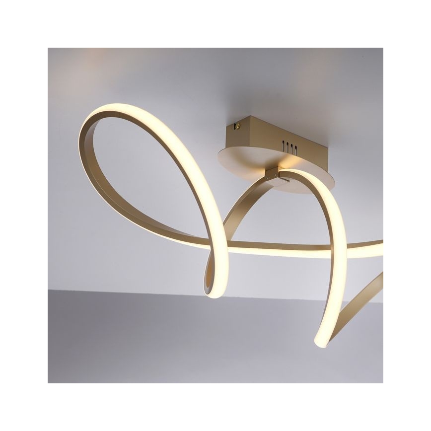 Leuchten Direkt 15403-60 - Candelabro integrado LED com regulação MARIA LED/15,5W/230V