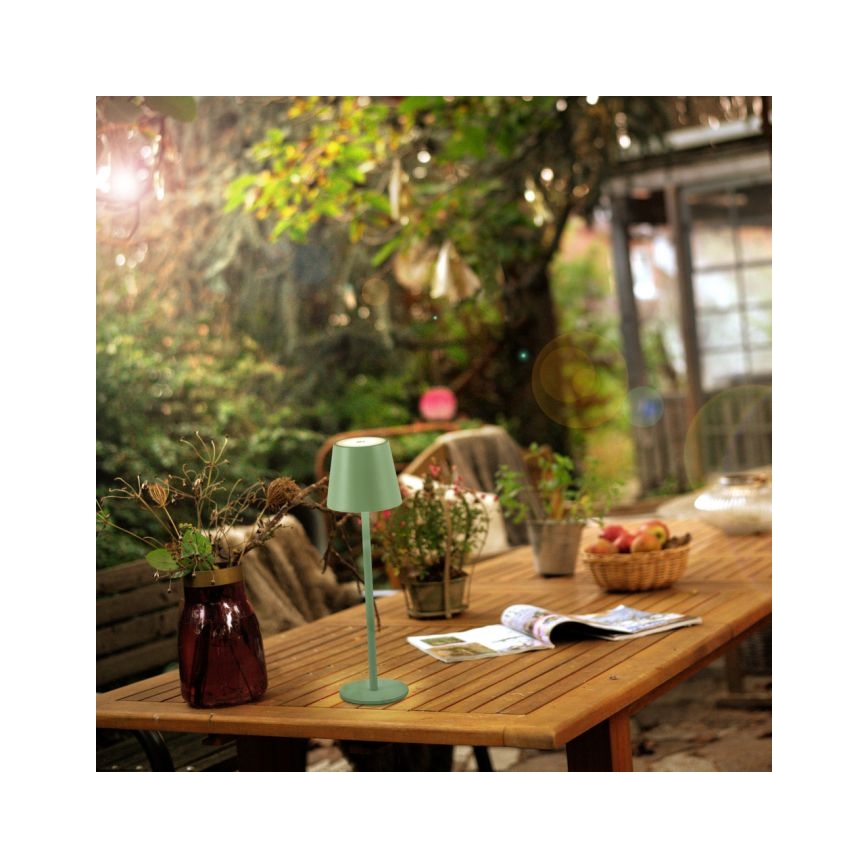 Leuchten Direkt 19250-43 - LED Candeeiro de mesa exterior recarregável com regulação EURIA LED/3W/5V IP54 verde