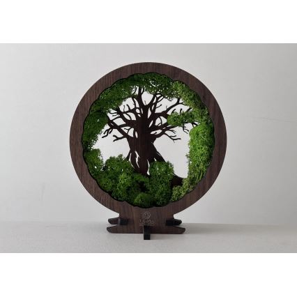 Li-Go 23604/DUB2 - Decoração de Mesa LED Regulável LED/12W/230V 20x22 cm Carvalho/Musgo e Árvore