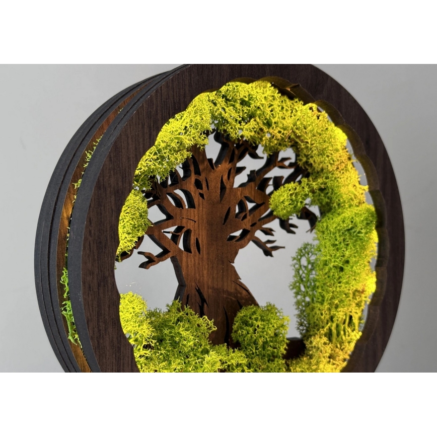 Li-Go 23604/DUB2 - Decoração de mesa LED regulável LED/12W/230V 20x22 cm carvalho/musgo e árvore