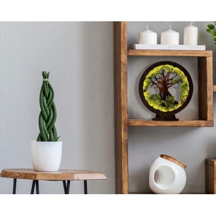 Li-Go 23631/DUB2 - Decoração de mesa LED dimerizável LED/12W/230V 30x31 cm carvalho/musgo e árvore