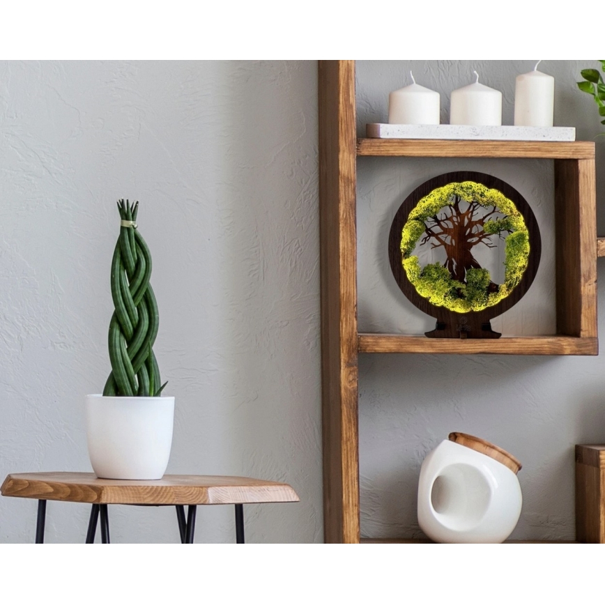 Li-Go 23631/DUB2 - Decoração de mesa LED dimerizável LED/12W/230V 30x31 cm carvalho/musgo e árvore