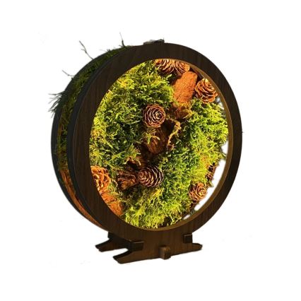 Li-Go 23654 - Decoração de mesa LED regulável LED/12W/230V 20x22 cm nogueira/Arranjo com musgo