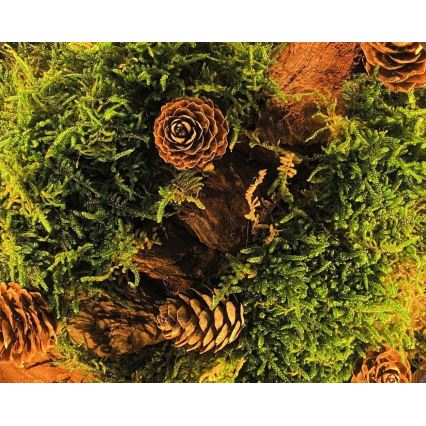 Li-Go 23654 - Decoração de mesa LED dimerizável LED/12W/230V 20x22 cm nogueira/Musgo