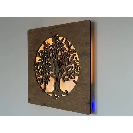 Li-Go 5652/DUB2 - Relógio LED dimerizável LED/10W/5V 20000 mAh 42x42 cm carvalho/Carvalho em círculo + controlo remoto