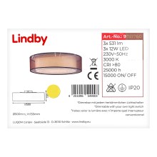 Lindby - Iluminação de teto LED com regulação AMON 3xLED/12W/230V