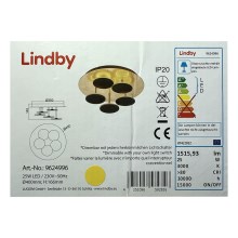Lindby - Iluminação de teto LED com regulação CASNI 5xLED/5W/230V