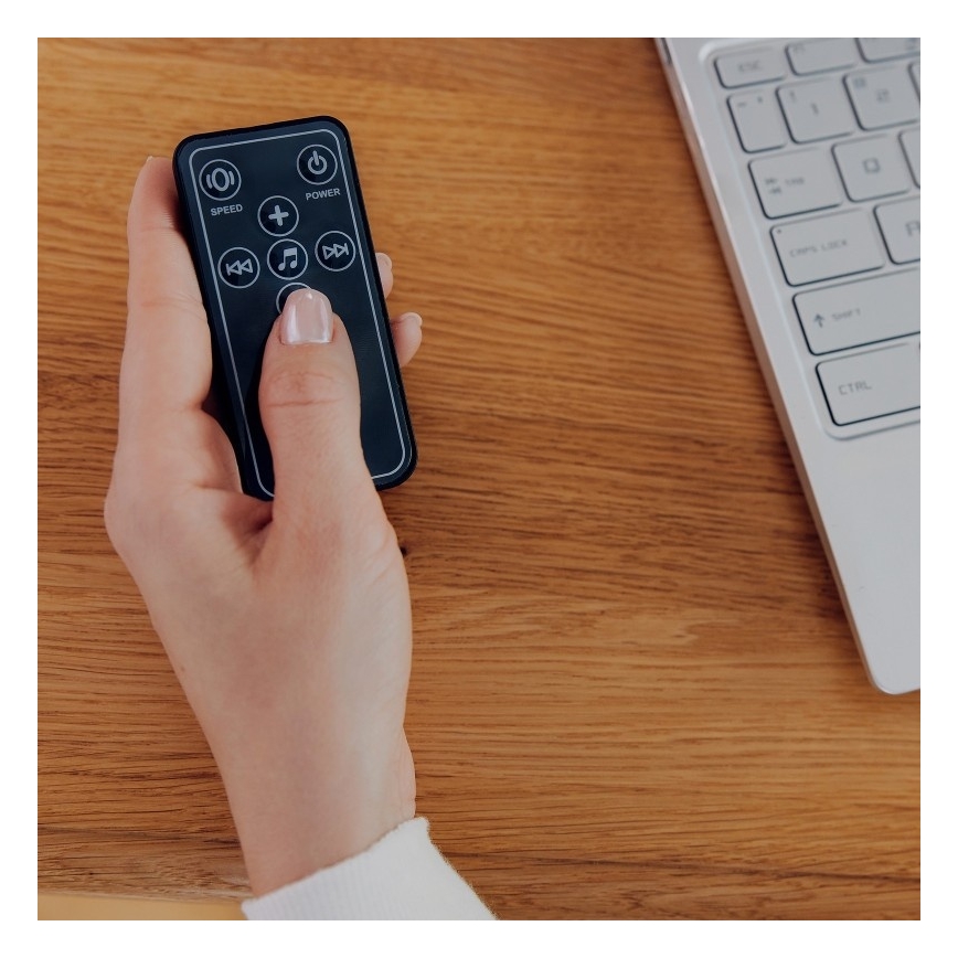 Lionelo - Baloiço infantil musical RIO 4xC Bege Latte + controlo remoto