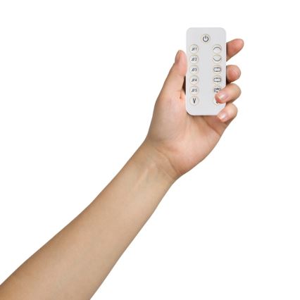 Lionelo - Baloiço para bebés com melodia OLIVIA Bege Natural + controlo remoto