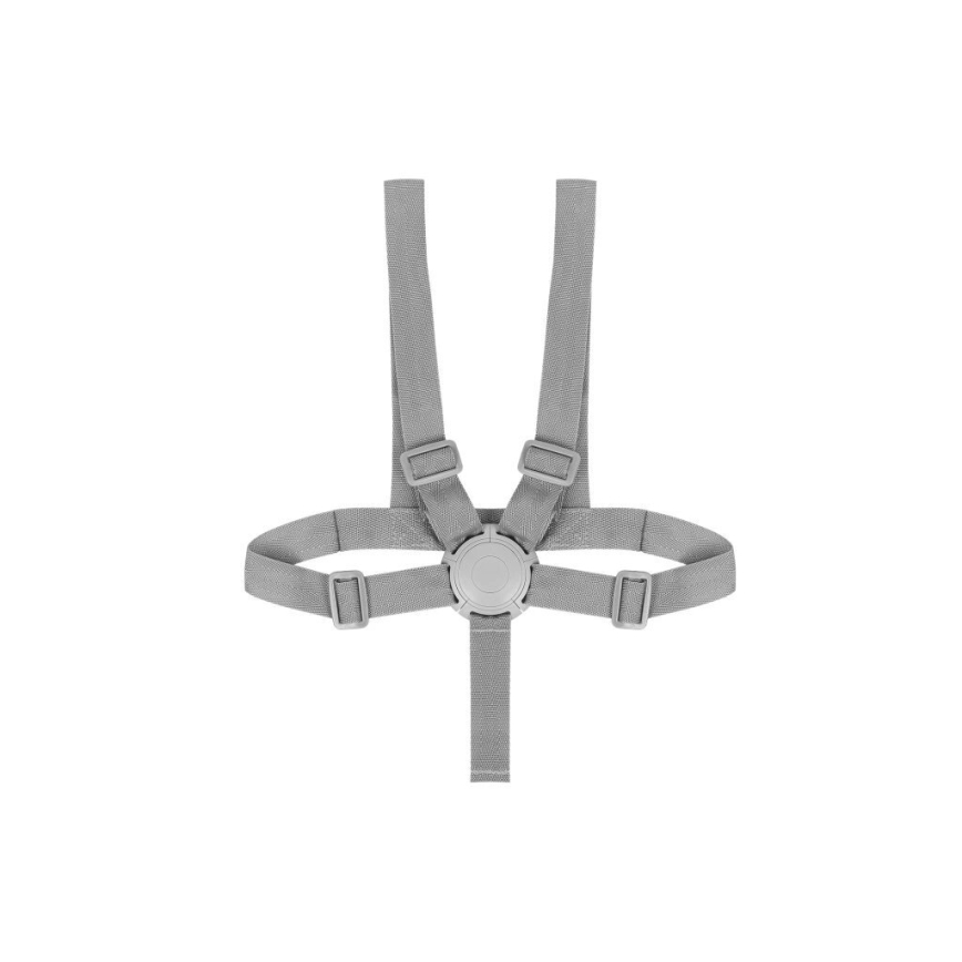 Lionelo - Cadeira de refeição para criança 2em1 DALIA branco/cinzento
