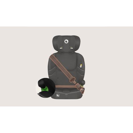 Lionelo - Cadeira para automóvel BILLY i-Size 76-150 cm Preto Carbono