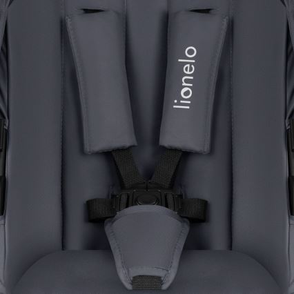Lionelo - Carrinho combinado 2 em 1 AMBER PLUS Cinza Grafite
