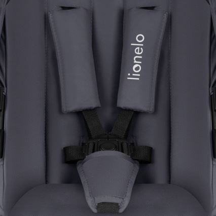 Lionelo - Carrinho combinado 3 em 1 AMBER PLUS cinzento grafite