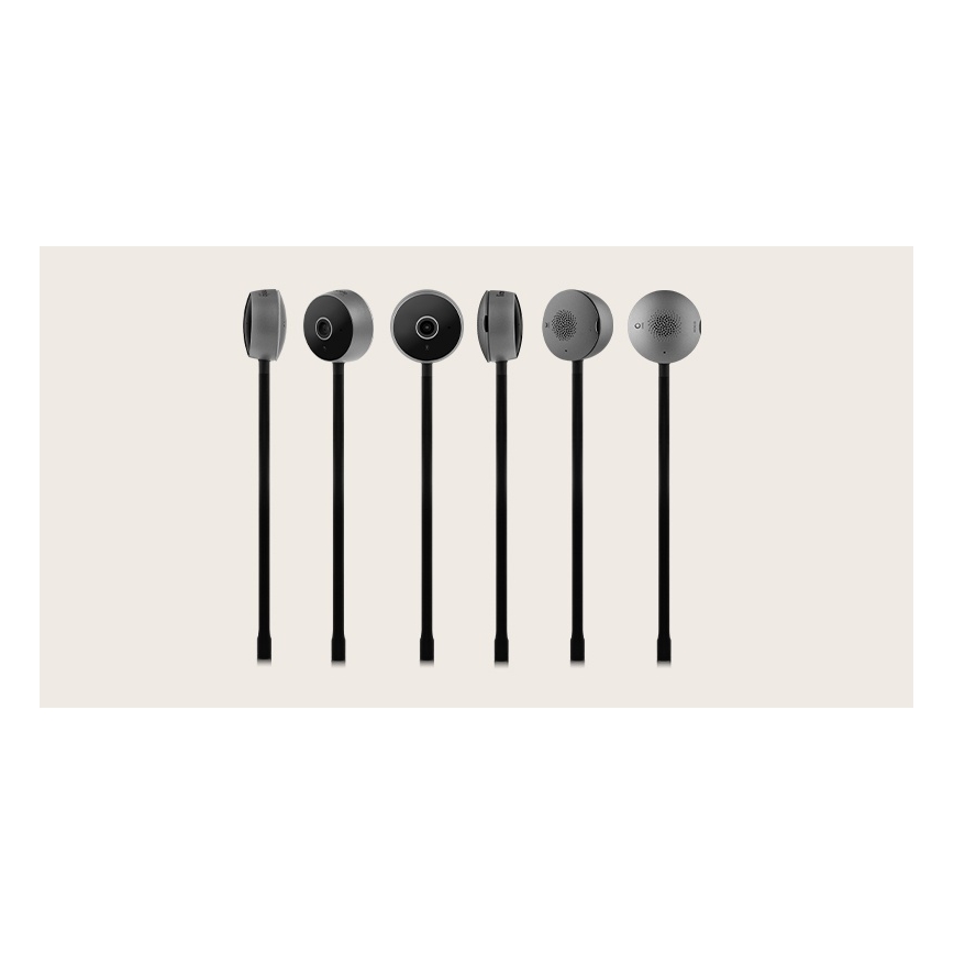 Lionelo - Monitor de bebé inteligente BABYLINE SMART Wi-Fi Preto