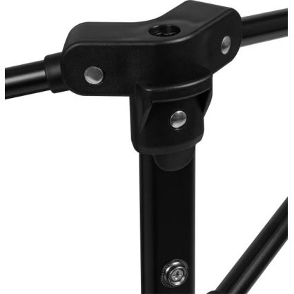 Lionelo - Parque de atividades ROEL PLUS Cinza Multicolorido