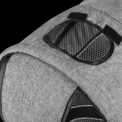 Lionelo - Triciclo infantil TRIS cinzento