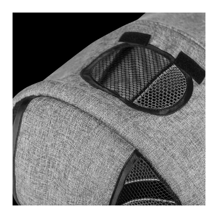 Lionelo - Triciclo infantil TRIS cinzento