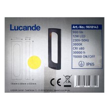 Lucande - Candeeiro exterior LED FENTI LED/12W/230V IP65