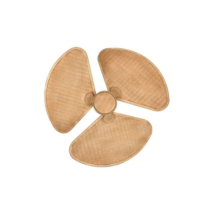 Lucci Air 21325549 - Ventilador de tecto LED regulável SABLE 1xGX53/12W/230V 3000/4000/5000K, diâmetro 91,5 cm, castanho + comando à distância