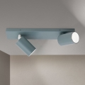 Luminária de focos PENN 2xGU10/13W/230V cinza