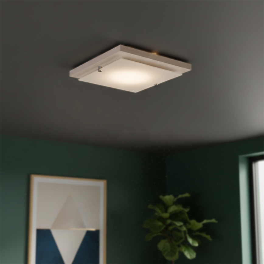 Luminária de teto 1xE27/60W/230V faia