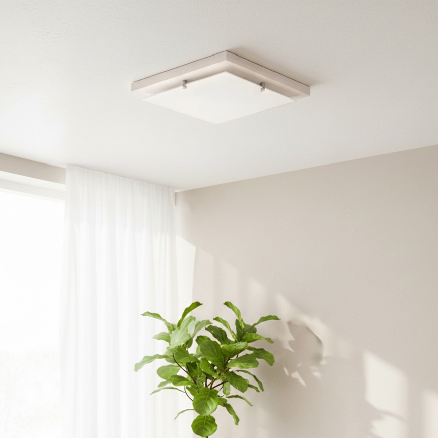 Luminária de teto 1xE27/60W/230V faia