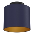 Luminária de teto ARDEN 1x E27/15W/230V, diâmetro 18 cm, azul