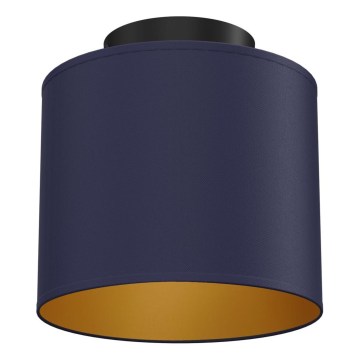 Luminária de teto ARDEN 1x E27/15W/230V, diâmetro 18 cm, azul