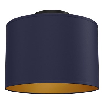 Luminária de teto ARDEN 1xE27/15W/230V diâmetro 25 cm azul