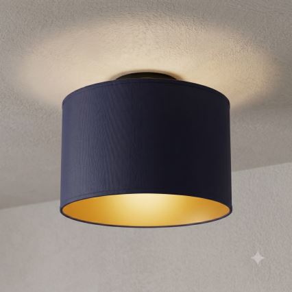 Luminária de teto ARDEN 1xE27/15W/230V diâmetro 25 cm azul