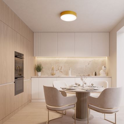 Candeeiro de tecto CLEO, com sensor de movimento e crepuscular, 2xE27/24W/230V, diâmetro 30 cm, dourado