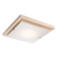 Luminária de teto LED/12W/230V faia