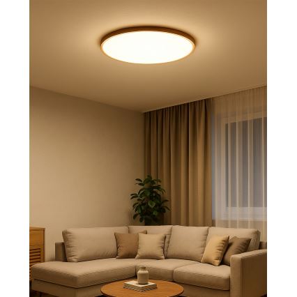 Luminária de teto LED/40W/230V 3000/4000/6500K Ø 50 cm bege