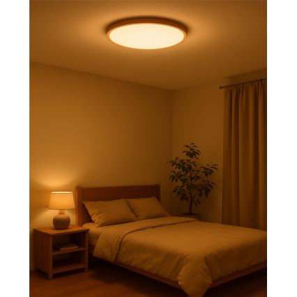 Luminária de teto LED/40W/230V 3000/4000/6500K Ø 50 cm bege