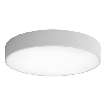 Luminária de Teto LED CLEO LED/69W/230V 3000K diâmetro 50 cm cinza