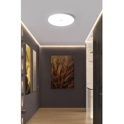 Candeeiro de tecto LED com sensor de crepúsculo e de movimento MORETTI LED/24W/230V Ø 30 cm IP40 6500K