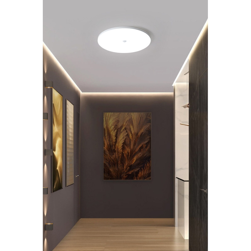 Candeeiro de tecto LED com sensor de crepúsculo e de movimento MORETTI LED/24W/230V Ø 30 cm IP40 6500K