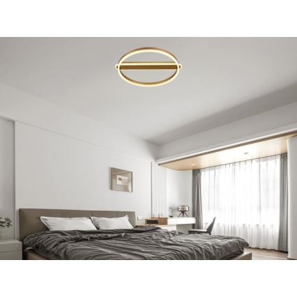 Luminária de teto LED dimerizável 60W/230V 3000-6500K + controlo remoto