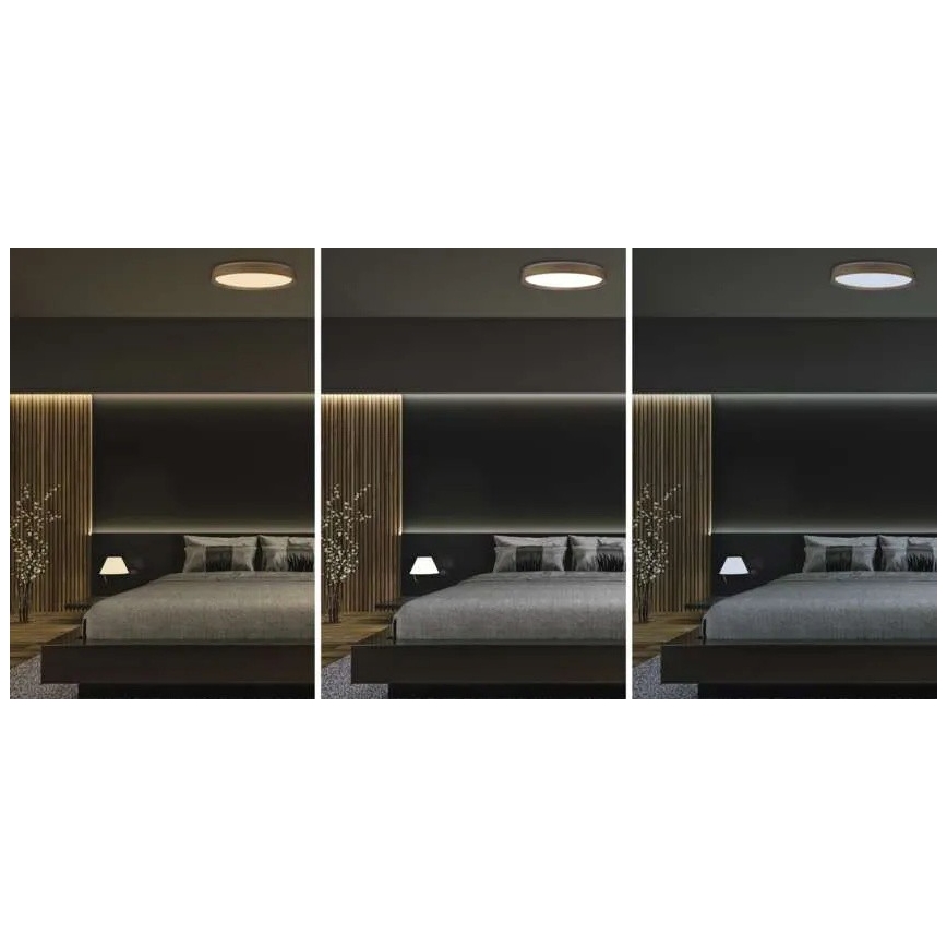 Candeeiro de teto dimerizável LED ILVI LED/45W/230V 2700-6500K Ø 50 cm acabamento em madeira + controlo remoto