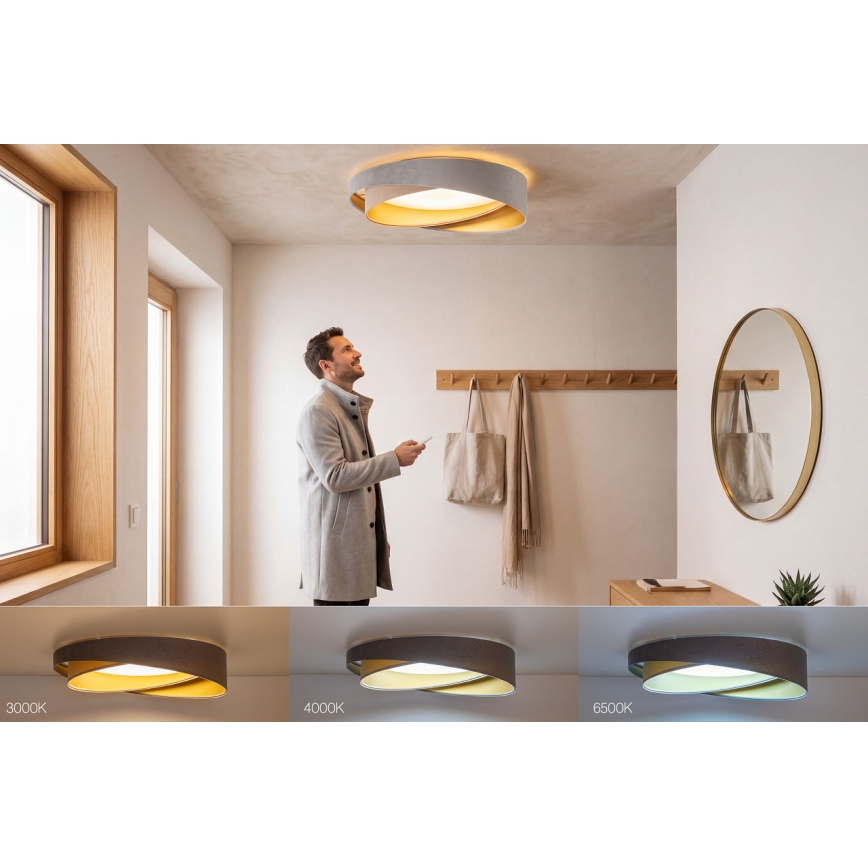 Candeeiro de teto LED regulável SMART GALAXY MODERN LED/24W/230V 3000-6500K Ø 55 cm cinzento/bege/dourado + comando remoto