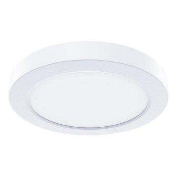 Luminária de teto LED EVORA, 6W, 230V, 3000/4000/6000K, Ø 14 cm, branca