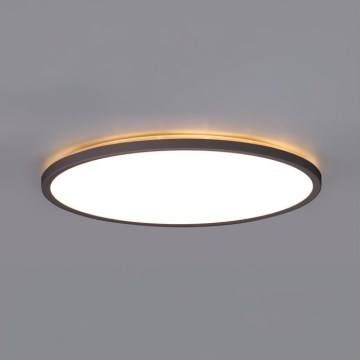 Luminária de teto LED para banheiro NIVERA LED/18W/230V IP54 3000/4000/6000K diâmetro 30 cm preta