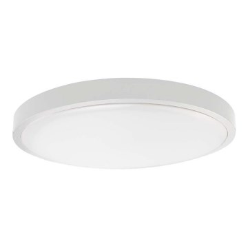 Luminária de teto LED para banheiro SAMSUNG CHIP LED/24W/230V IP44 6500K diâmetro 29 cm branco