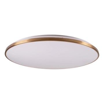 Luminária de teto LED regulável por dimmer KERN LED/80W/230V 3000/4000/6000K diâmetro 80 cm dourada + comando remoto