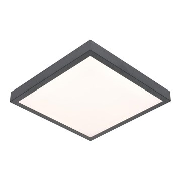 Luminária de Teto LED VITALI LED/24W/230V
