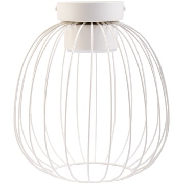 Luminária de teto OVELLA 1xGX53/10W/230V Ø 25 cm creme