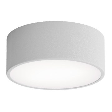 Luminária de teto para banheiro CLEO com sensor, 1xE27/24W/230V, Ø 20 cm, IP54, cinza